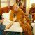 มูลนิธิเสียงธรรมเพื่อประชาชนเข้าชี้แจงกมธ.วิ.สภาผู้แทนฯร่างกม.องค์กรจัดสรรคลื่นฯ.zip
